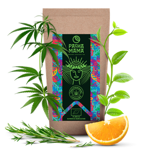 Guayusa Pachamama Cannabis – organiczna – 250g